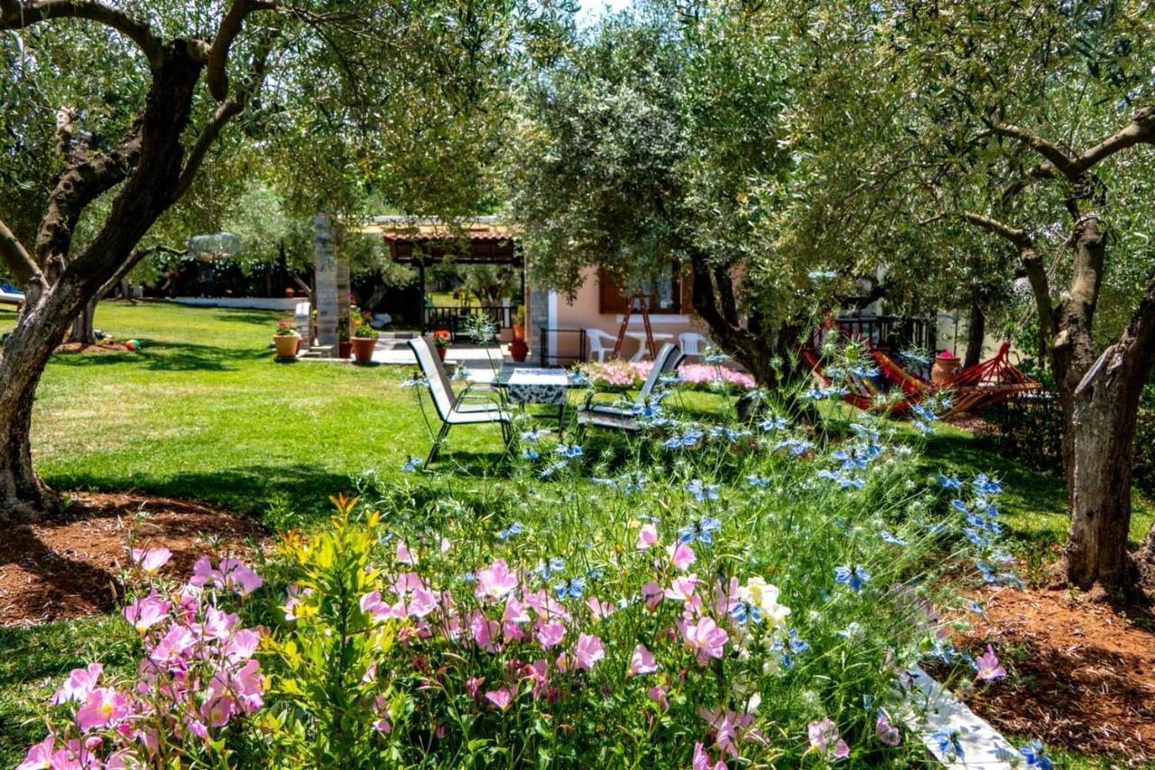 Small Paradise Nikiti  Exterior photo